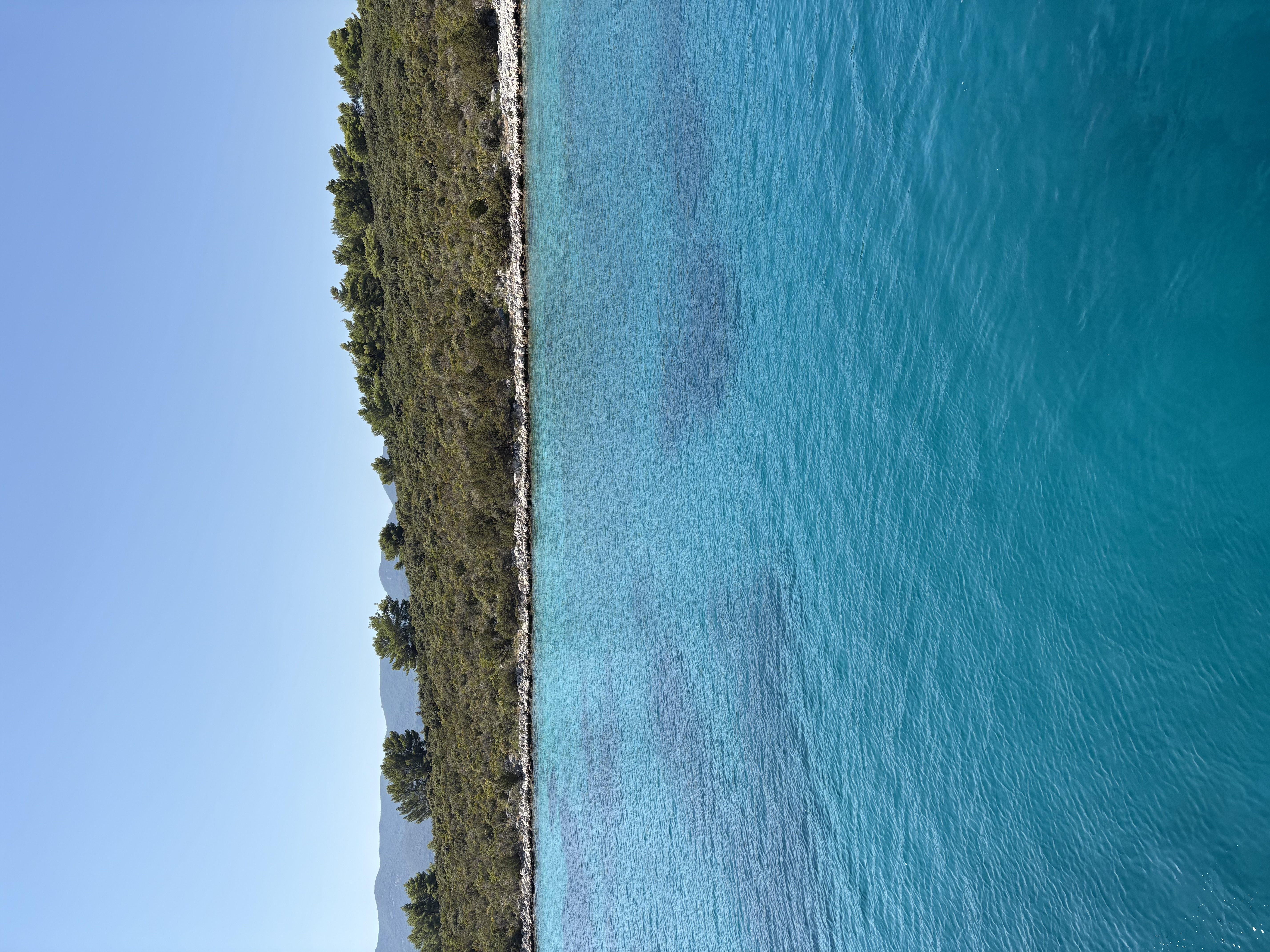 Absolute Paradise 🏝️