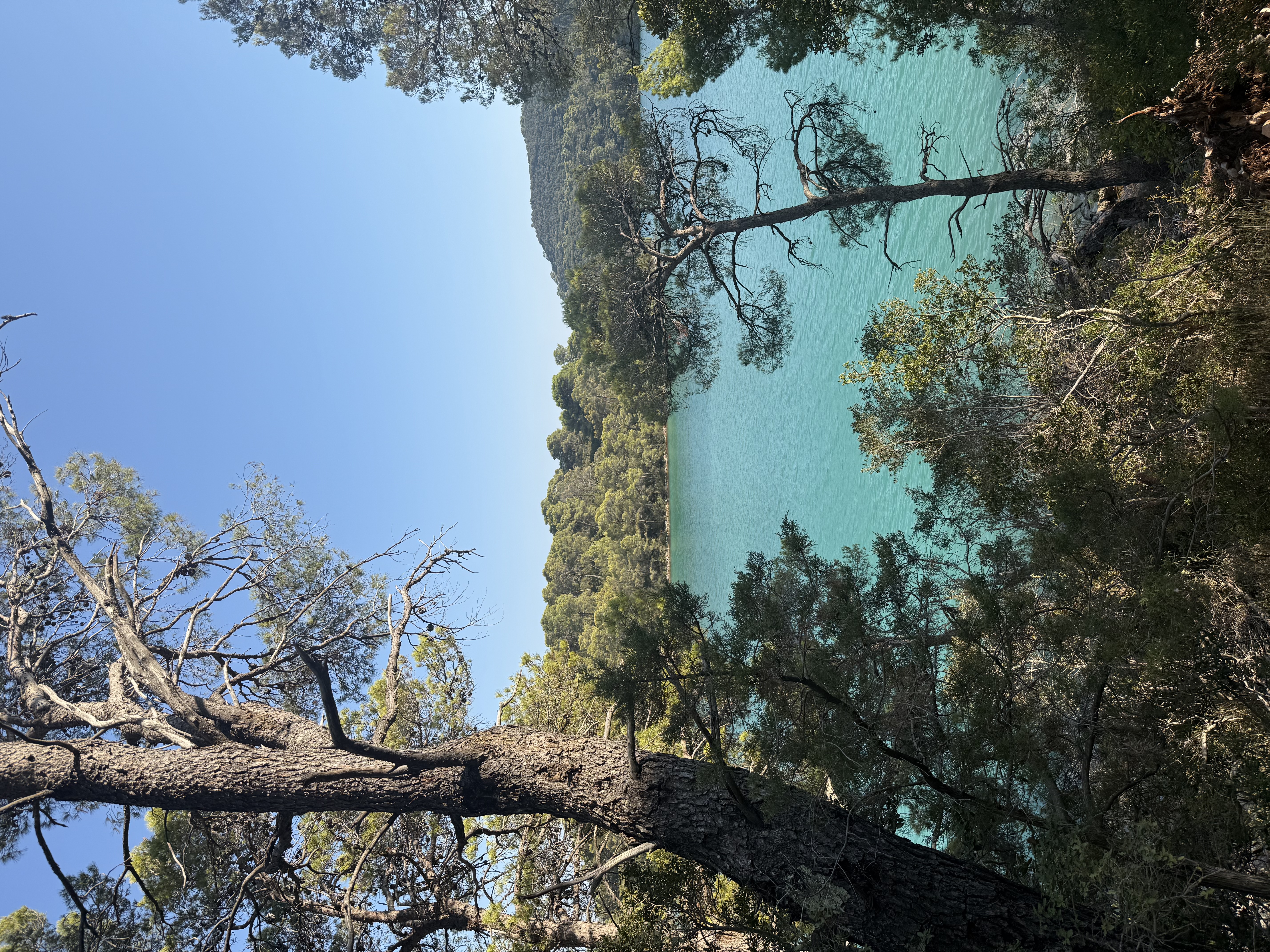 Amazing Trip