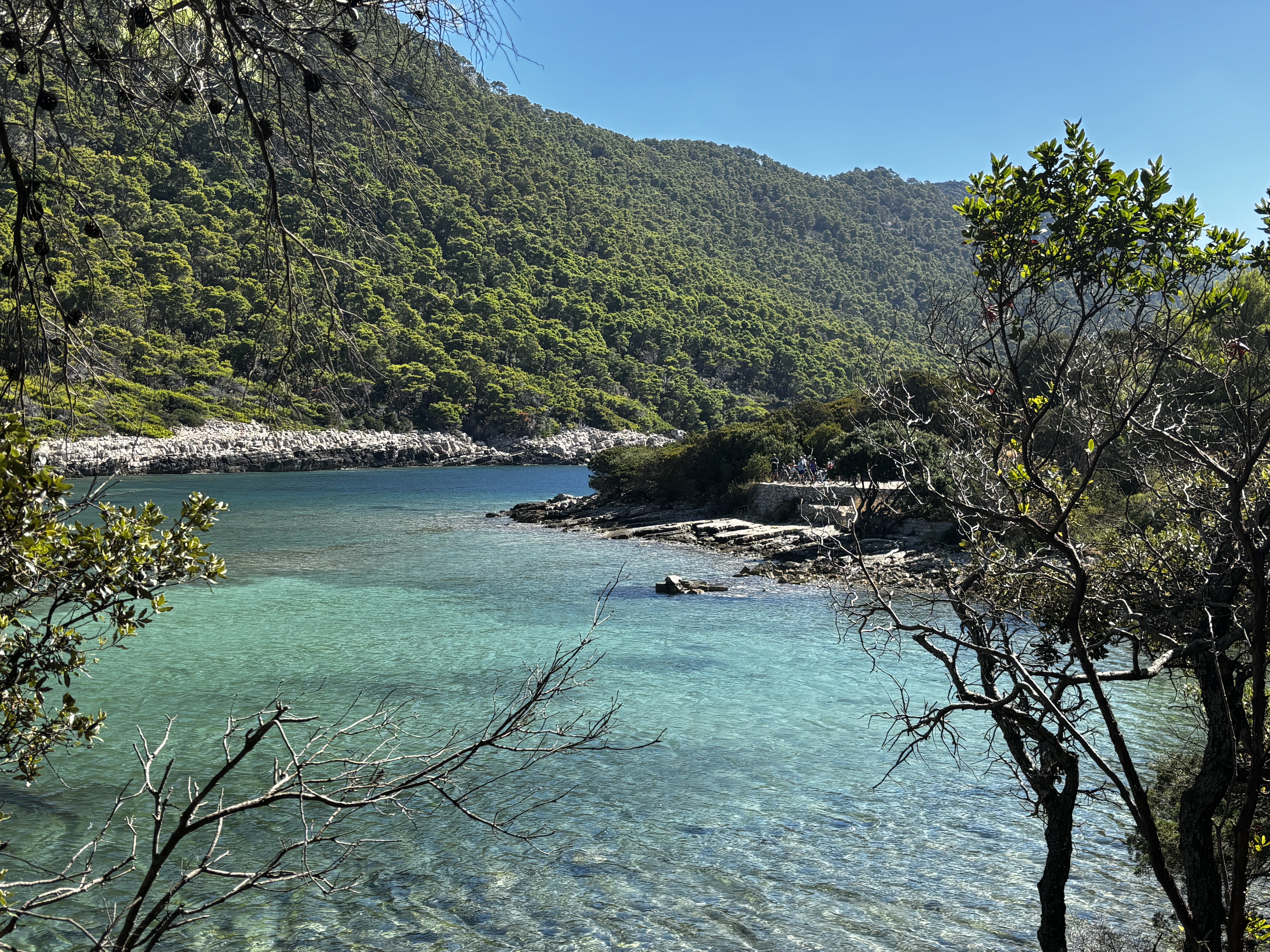 Dalmatia