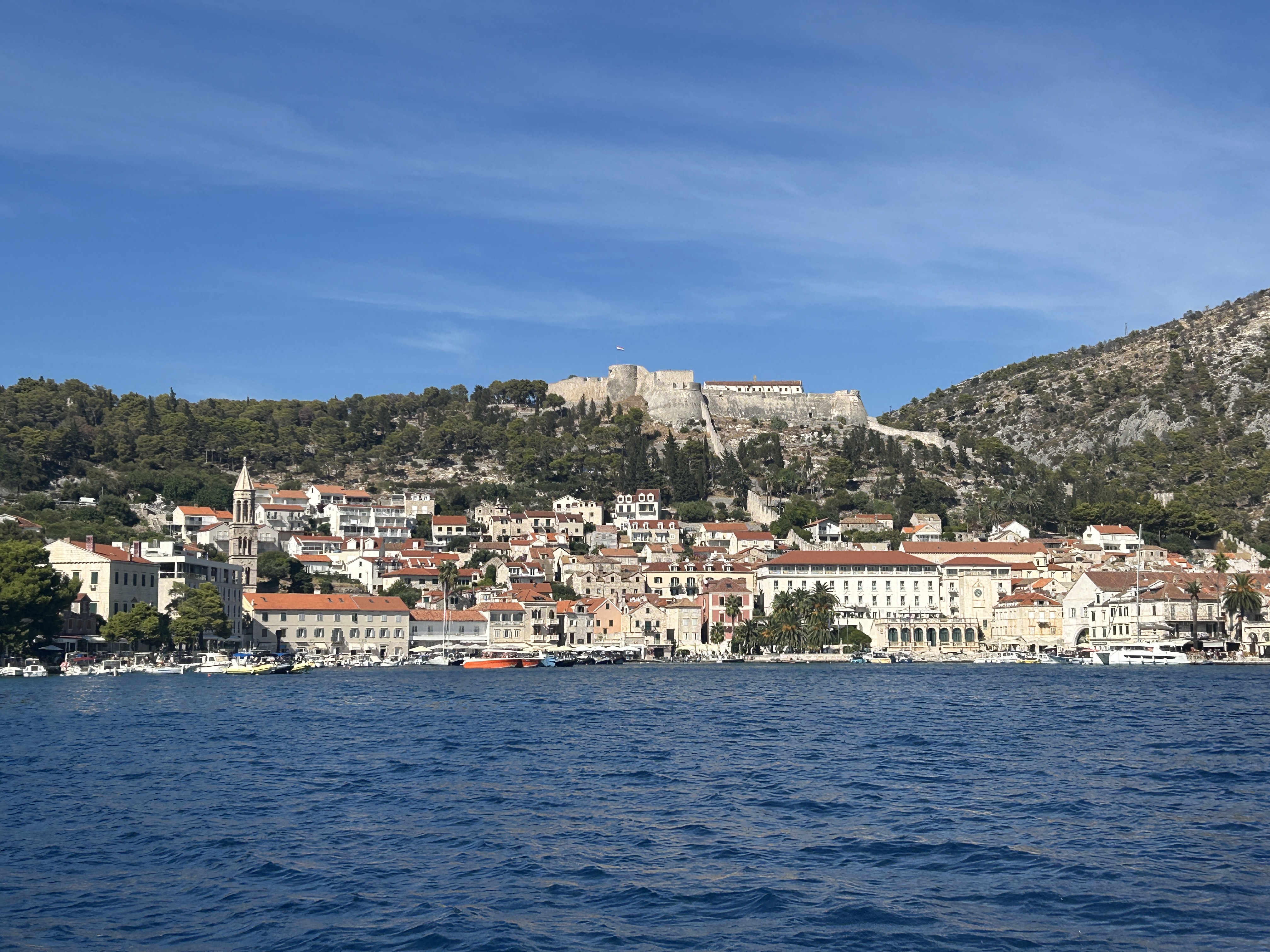 Fantastic small boat cruise
