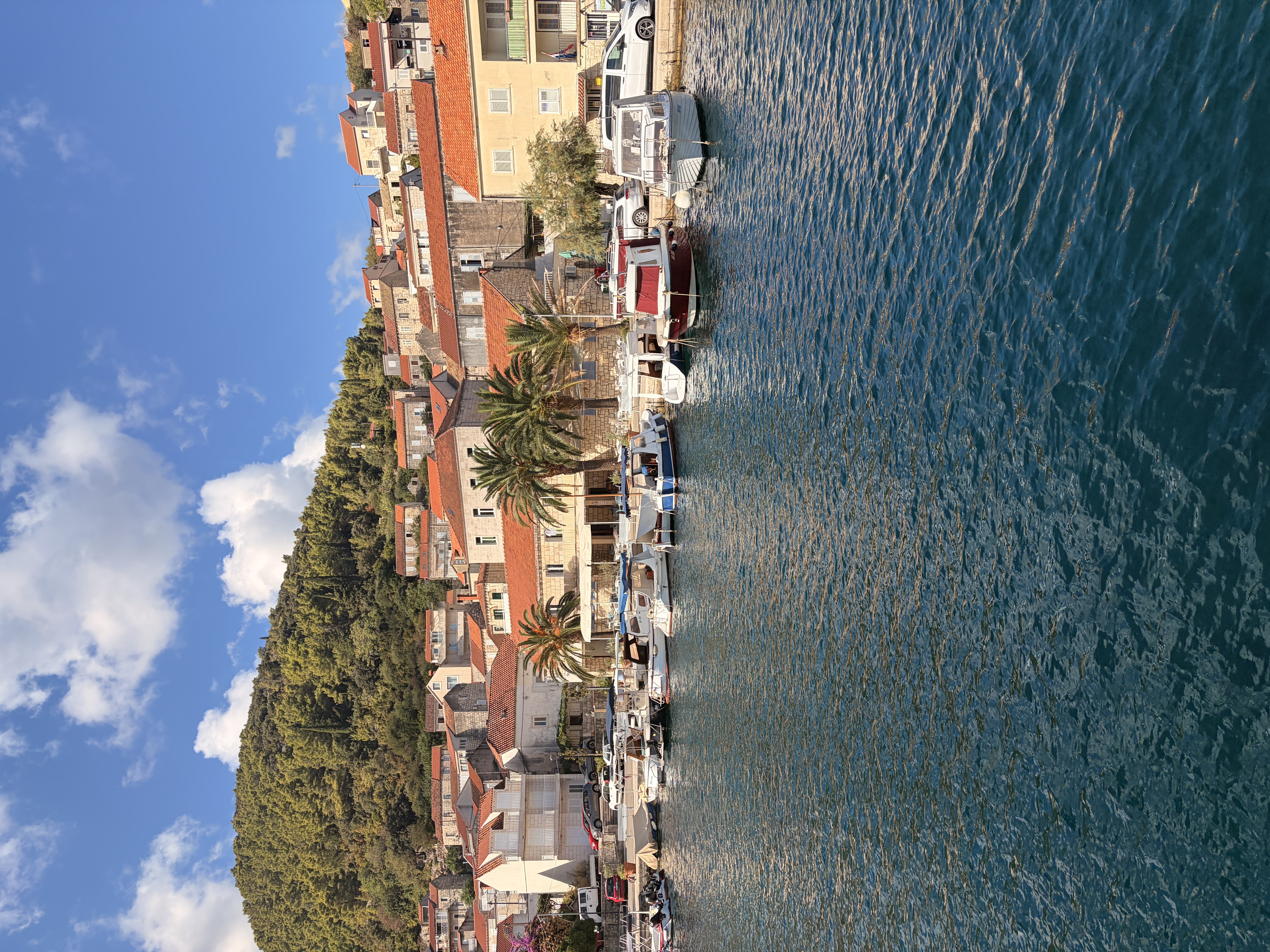 Great Trip