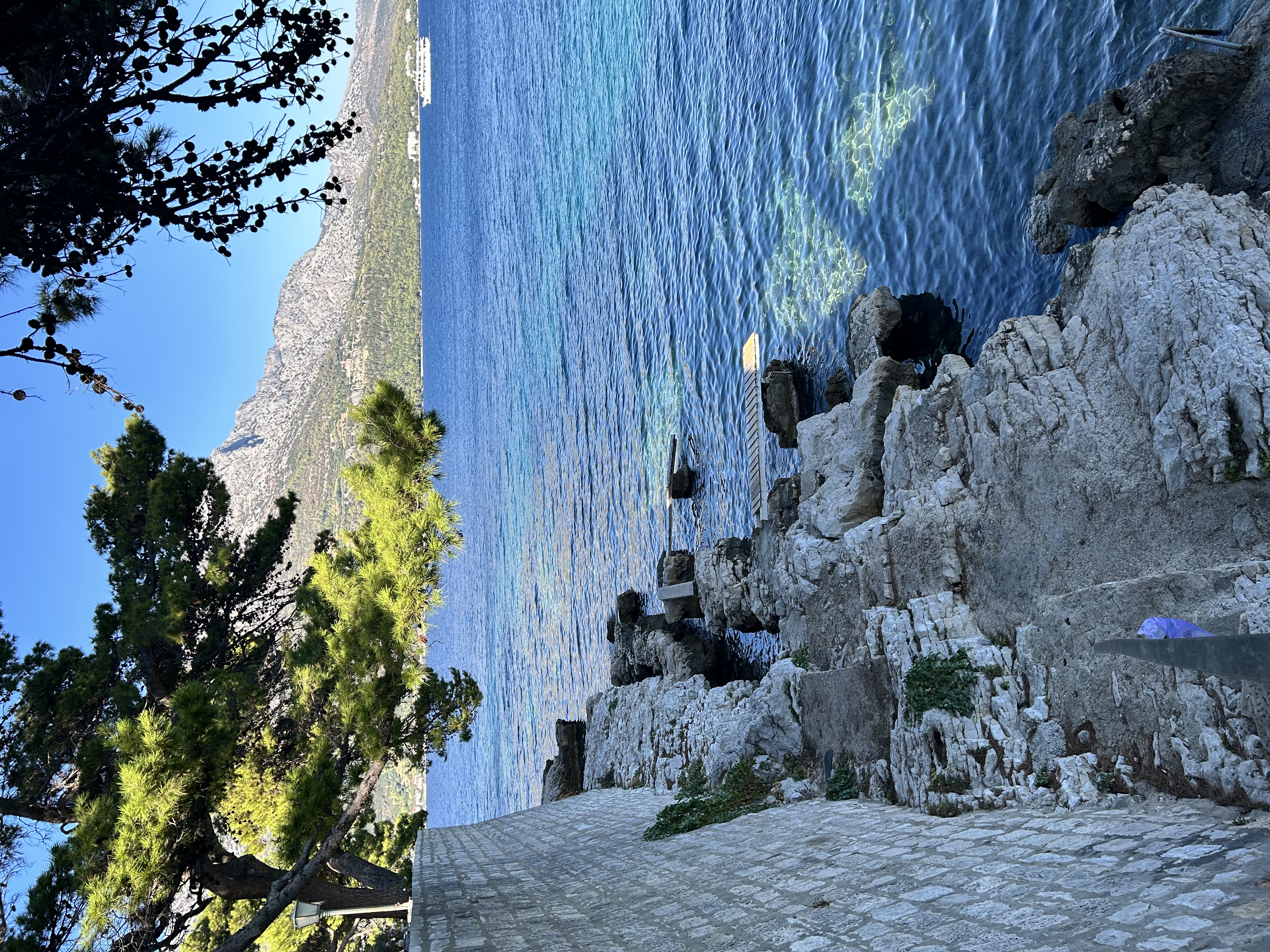 An Adriatic delight