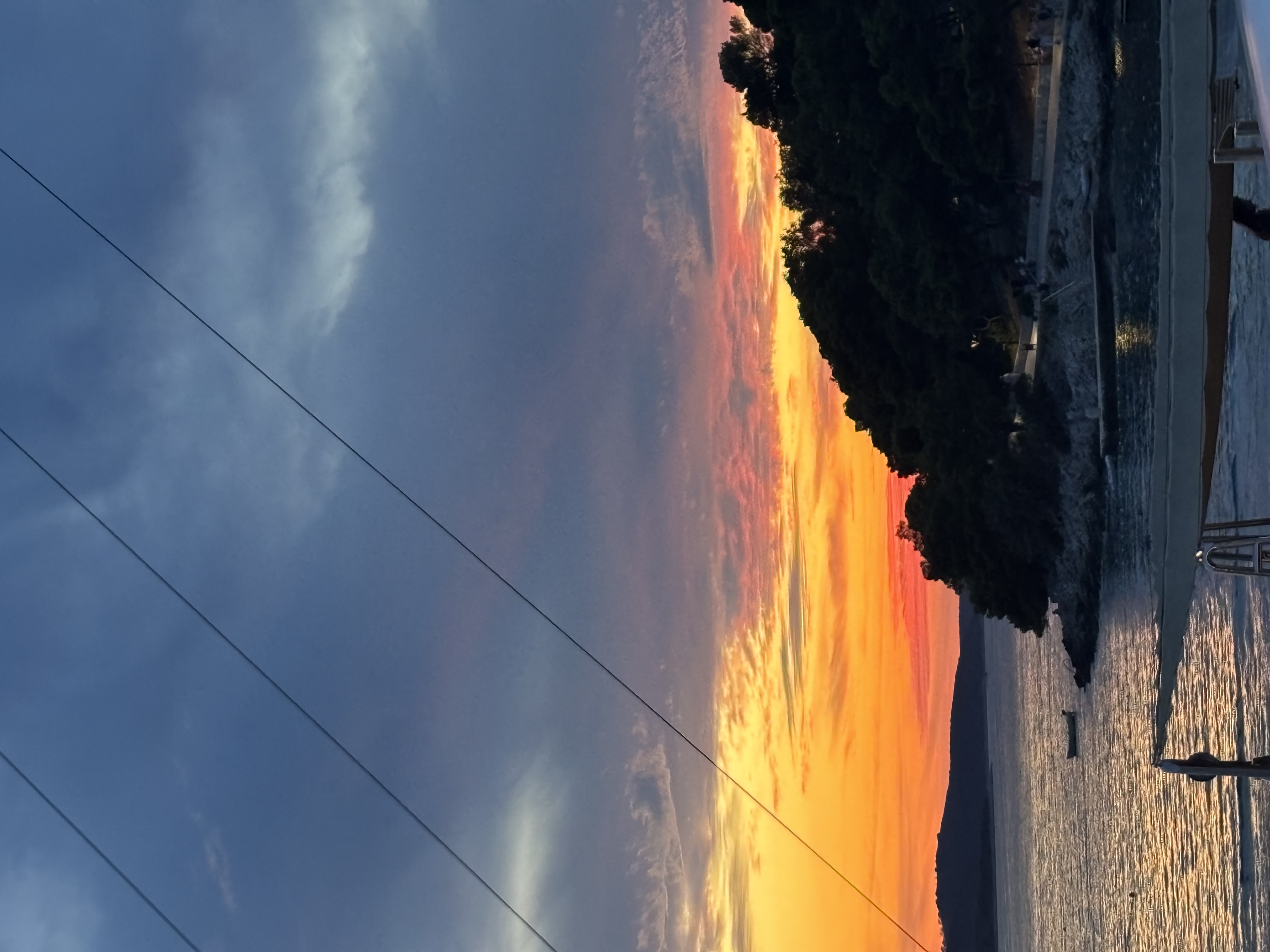 Trip of a lifetime!