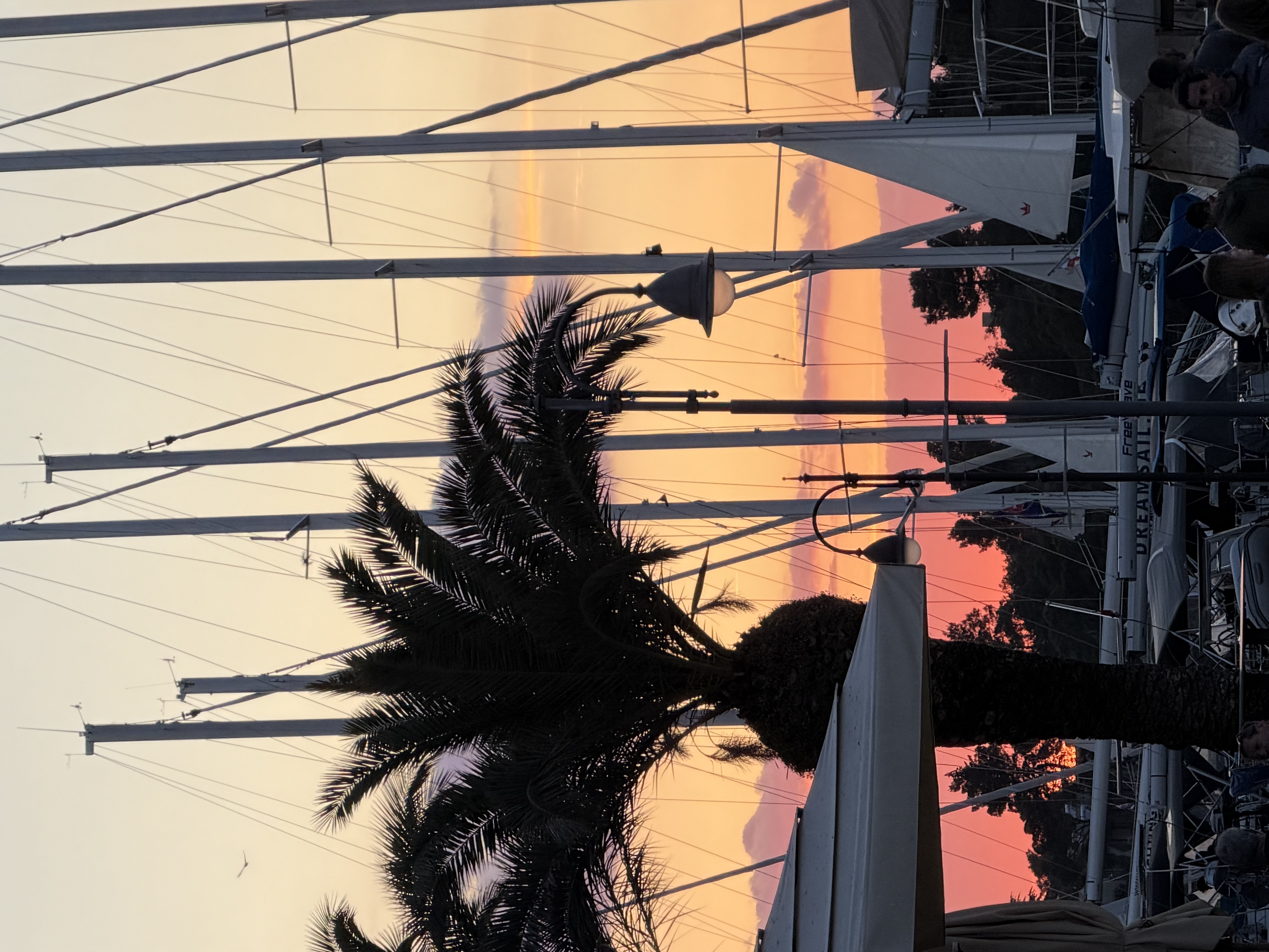 Sail and cycling.