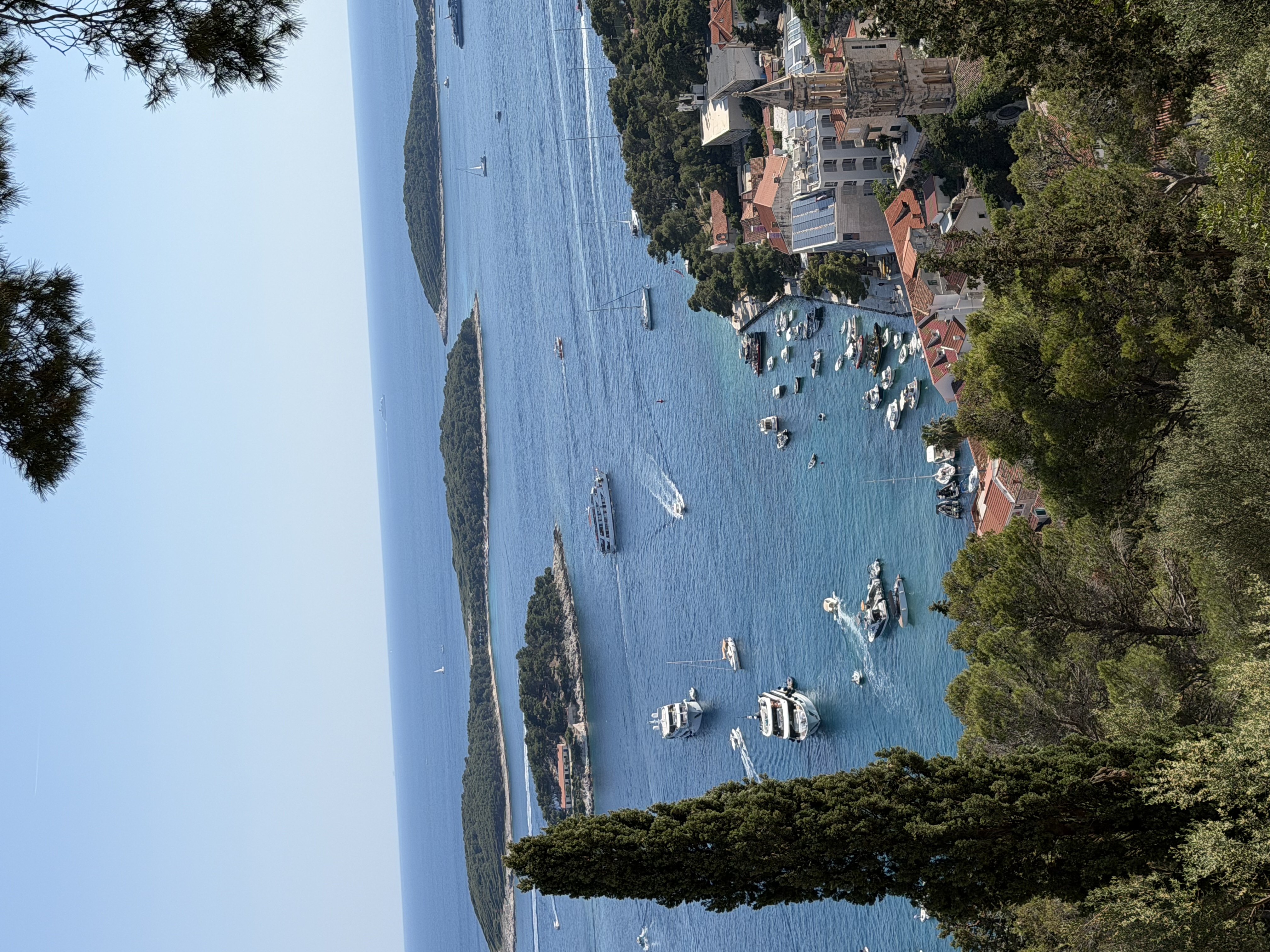 Best vacation ever!