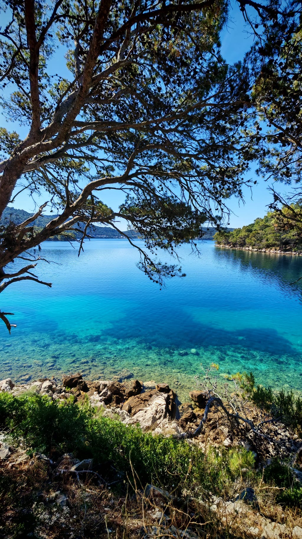 Amazing adventure on the Adriatic