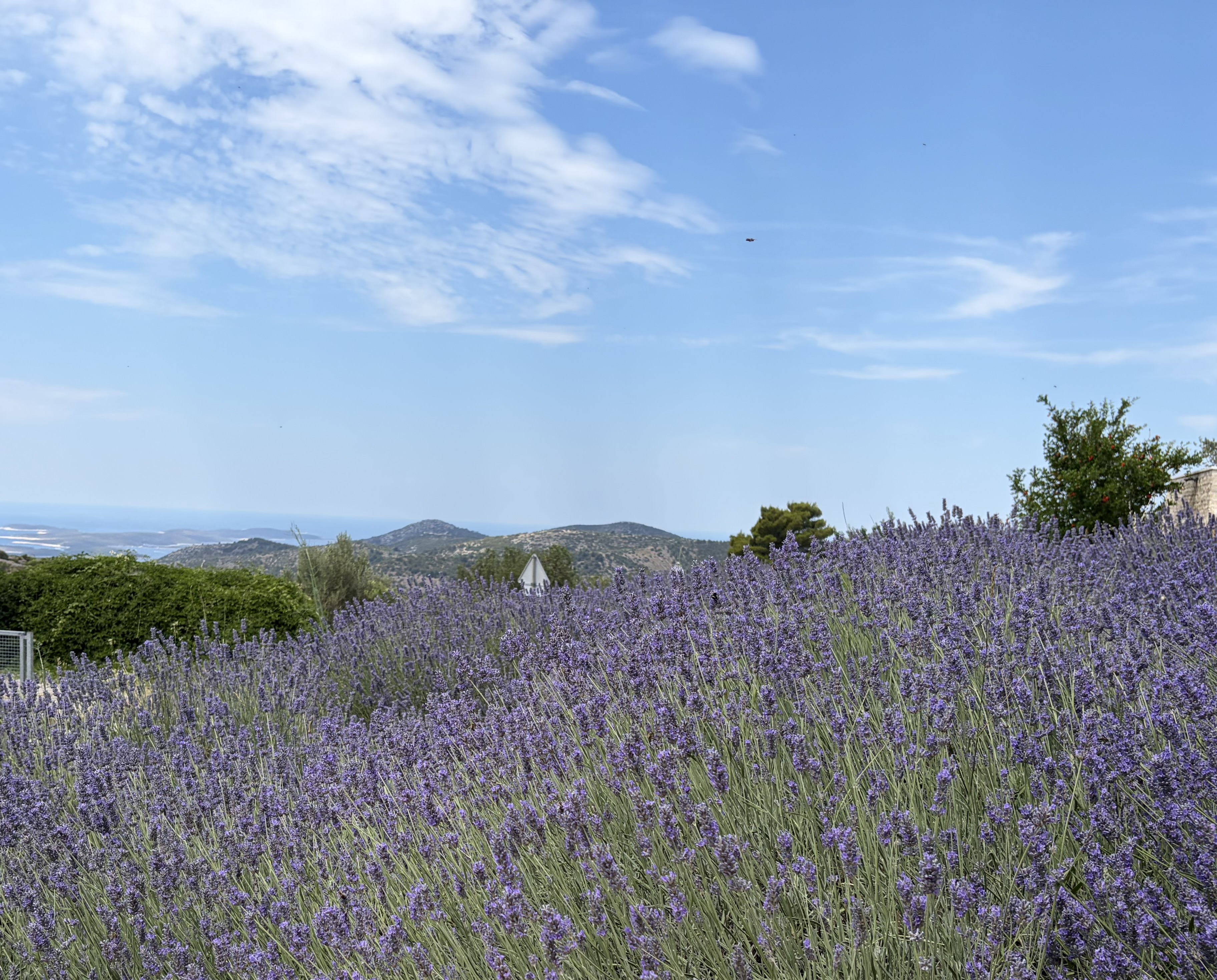 Active Scenic Vacation of Croatia