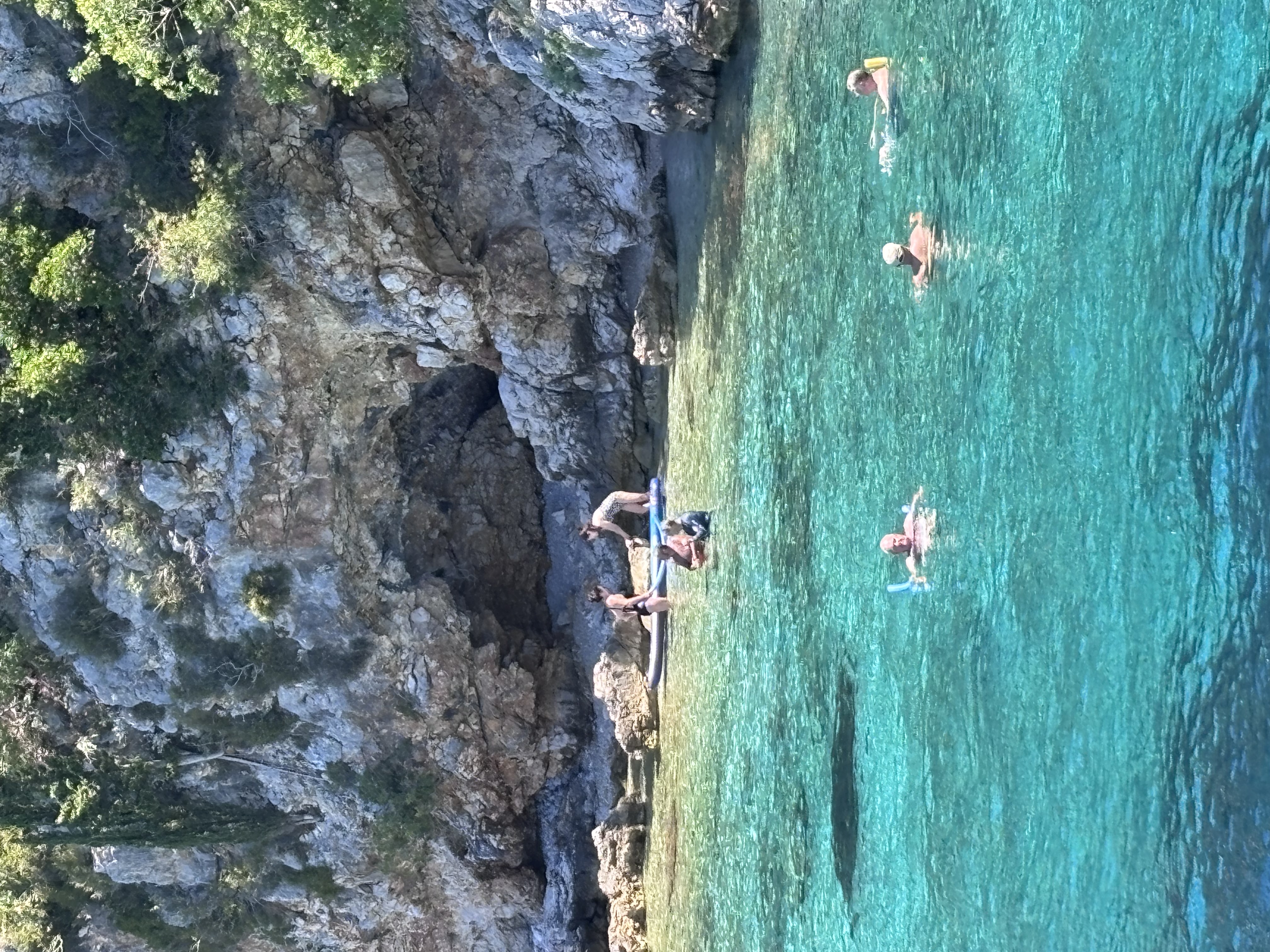 The Best Cruise