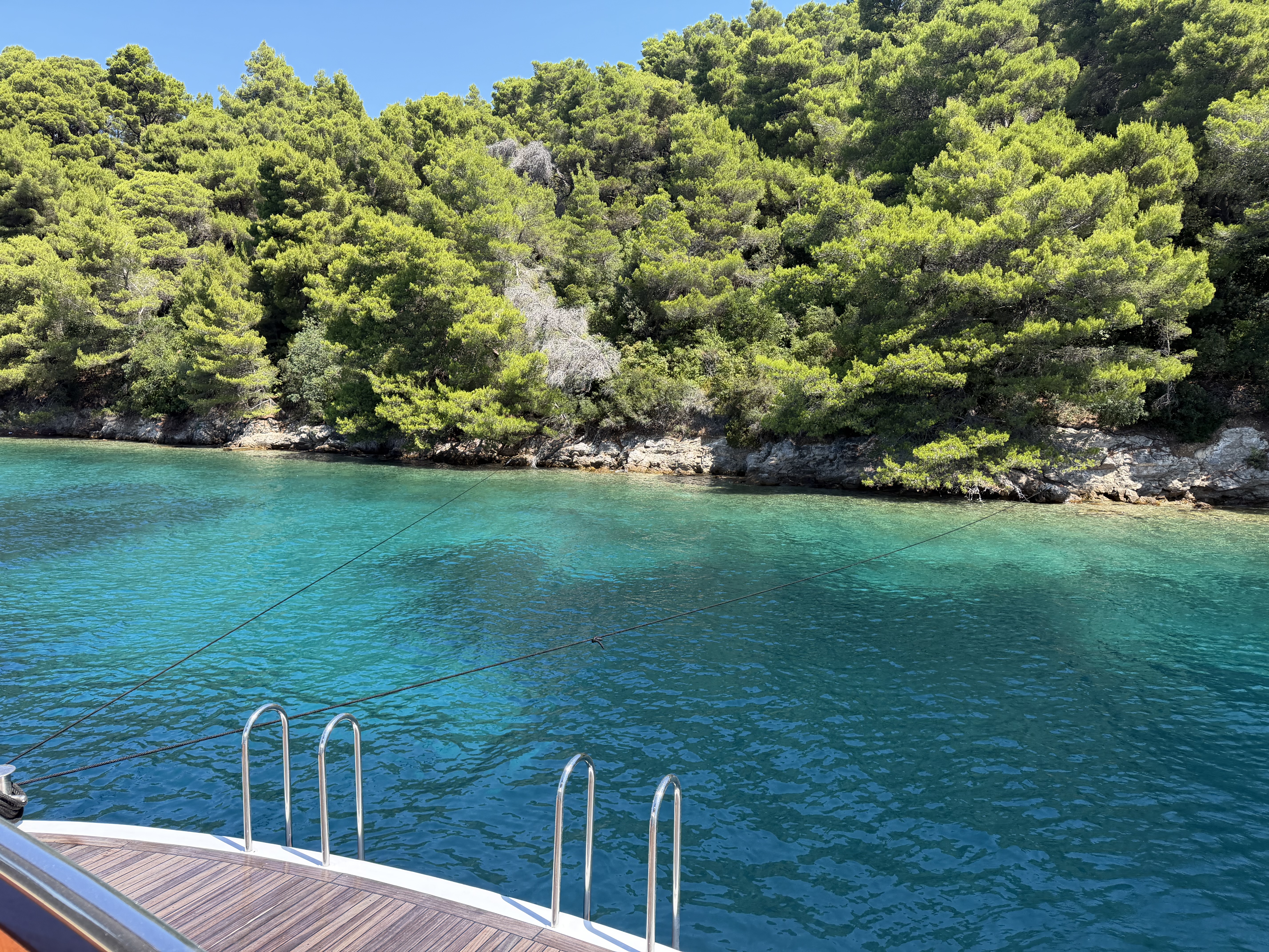 5 Star Holiday